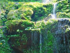 -云南屏边大围山国家公园