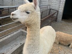 -红石沟生态休闲农场