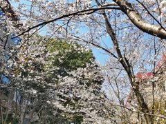 -上海财经大学(国定路校区)