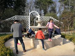 -昆山城市生态森林公园