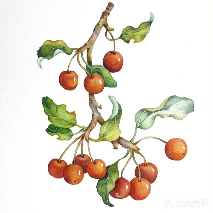 我的山楂树之恋[亲亲][亲亲]