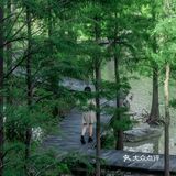 深圳拍照｜打卡隐秘小岛🏝神秘水上森林