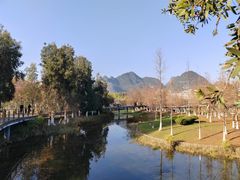 -靖西锦绣古镇景区