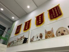 -爱侣宠医·鹦鹉专科·小型哺乳类·异宠专科(灵石路店)