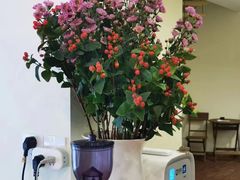 -有猫主题·治愈系猫咖(曾厝垵店)