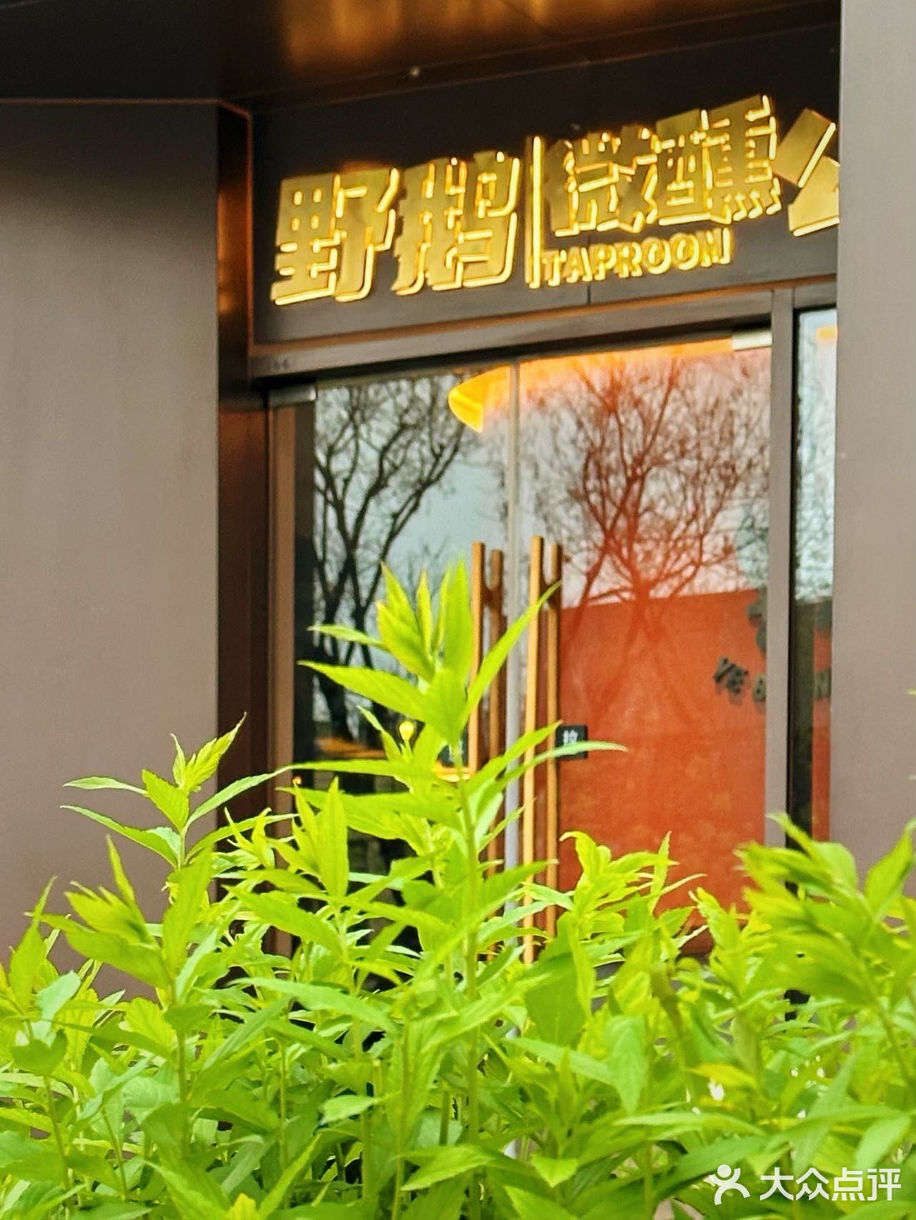 精酿爱好者快乐老家📍野鹅微醺公园