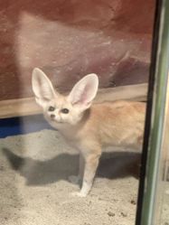 -Zoolung Zoolung动物主题公园(海信广场店)