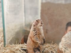 -海合安武汉极地海洋公园