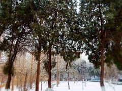 -山东大学(趵突泉校区)
