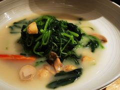 上汤白苋菜-京味斋·烤鸭·北京菜(安贞店)