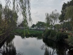 -无锡蠡湖国家湿地公园-蠡园