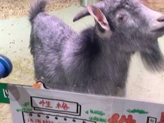 -正佳雨林生态植物园