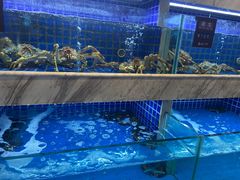 水产区-夜上海(上元大街店)