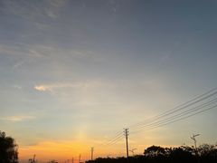 -大塘金香草谷