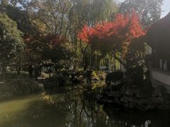 -秋霞圃