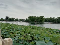 -小王府(什刹海店)