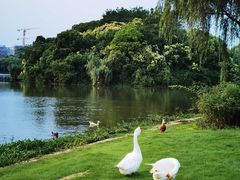 -东华大学(松江校区)