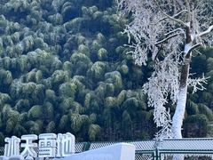 -杭州生仙里国际滑雪场
