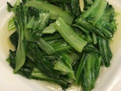 -云腾食府·云南菜