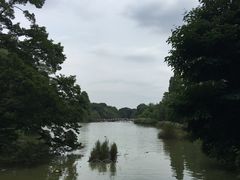 景点-井之头恩赐公园