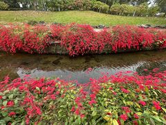 -荔枝公园(福田区)