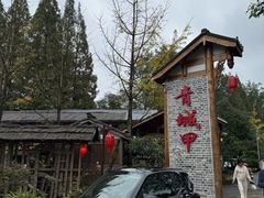 -青城甲(青城山店)