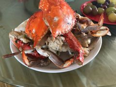 -马陆小张葡萄园农家乐