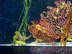 -珠海长隆海洋王国