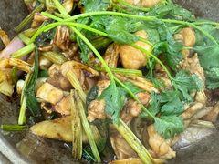 砂锅焗牛蛙-众源美食(光复阁店)