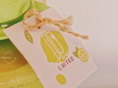 -LIMITED EXPRESS 限定快线
