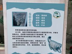 -青藏高原野生动物园
