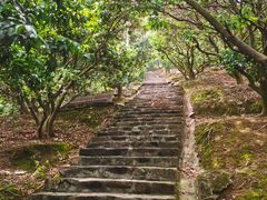 -风云岭森林公园