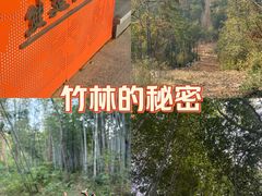 -青龙山国家森林公园