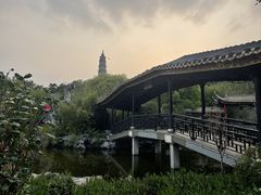 -顺峰山公园