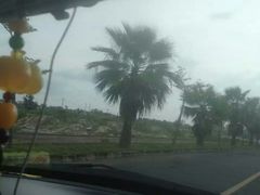 -北海金海湾红树林生态旅游区