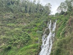 -水濂山森林公园