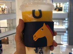 -春丽小马(济南恒隆广场店)