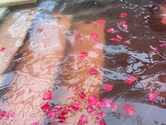 -苏州湾·王焰温泉