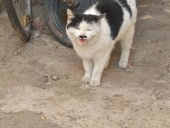 -努日曼无花果抓饭快餐(和田街小区店)