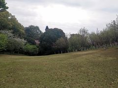 -南山植物园