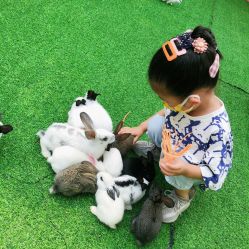 -萌宠亲子动物乐园(槐房万达店)