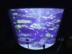 -暹罗海洋世界