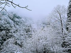 -九峰山