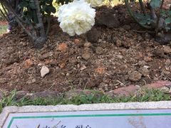 -人民公园(罗湖区)