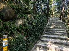 -火炉山森林公园