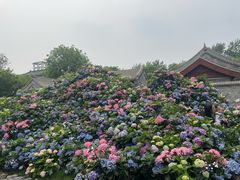 -王府井步行街