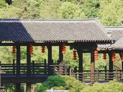 -大唐贡茶院