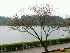 -南国桃园旅游度假区