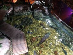 -暹罗海洋世界