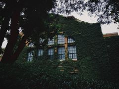 -清华大学-观畴园餐厅